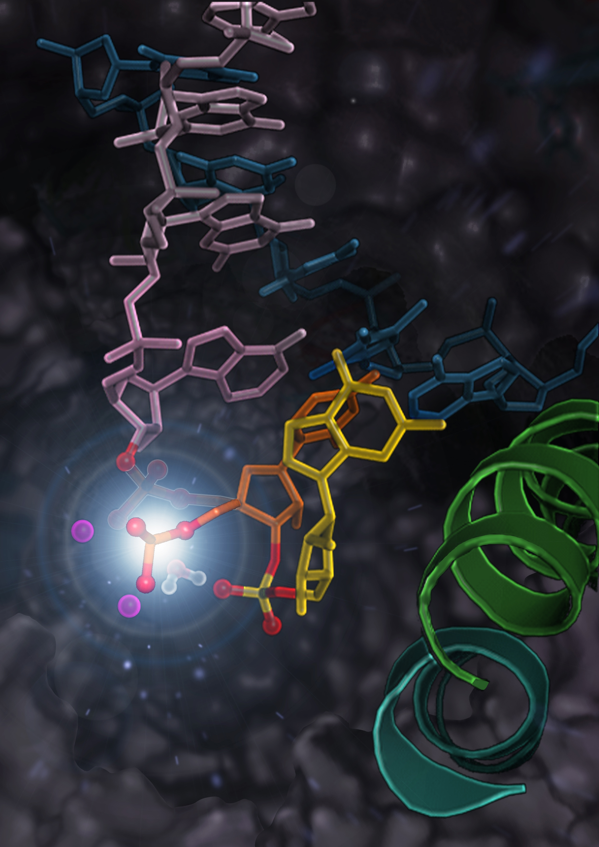 RNA Polymerase II undergoes the intrinsic cleavage of the mis-incorporated nucleotide (the yellow part in the picture) during proofreading of the RNA transcription.