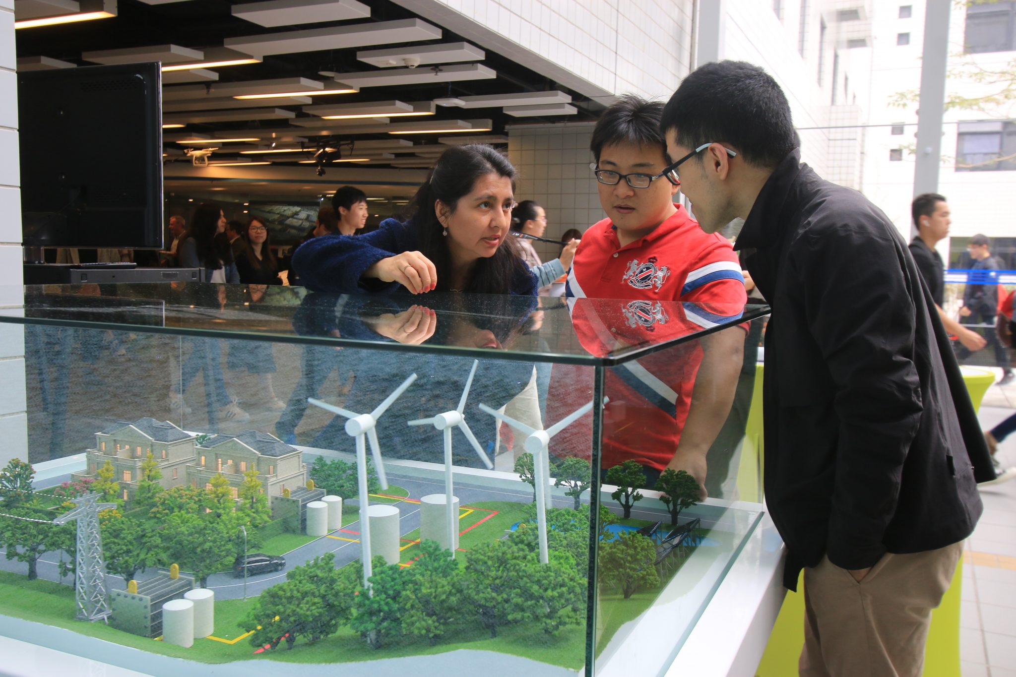 Smart Mini-grid of 100% Renewable Energy