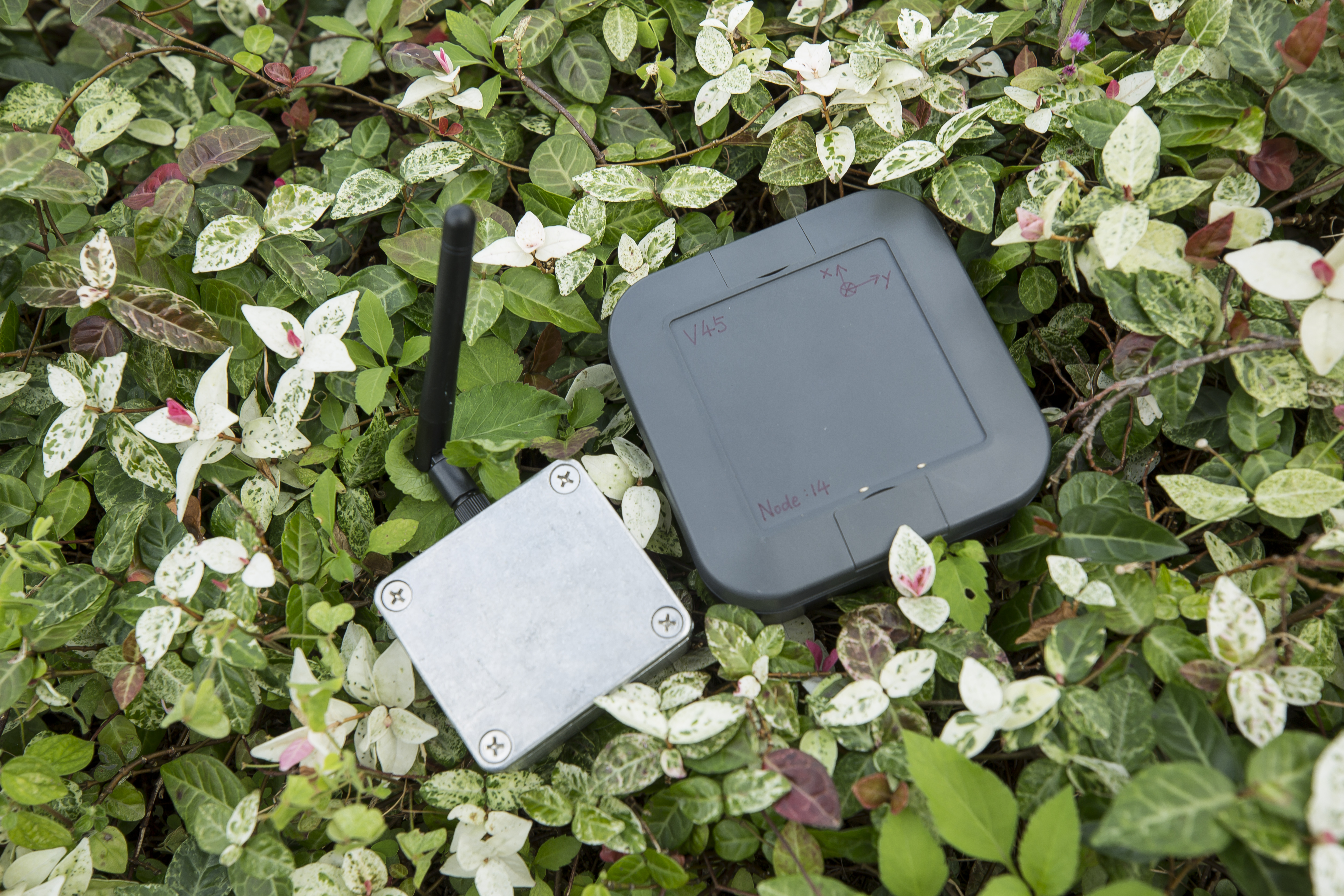 智能感應器使用長距離廣域網絡 (LoRaWAN)，不但可實時傳輸數據，而且功耗低，非常省電。