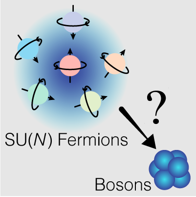 Fermions with different spins (indicated by arrows) behave like bosons in three dimensions when the number of spin components increases