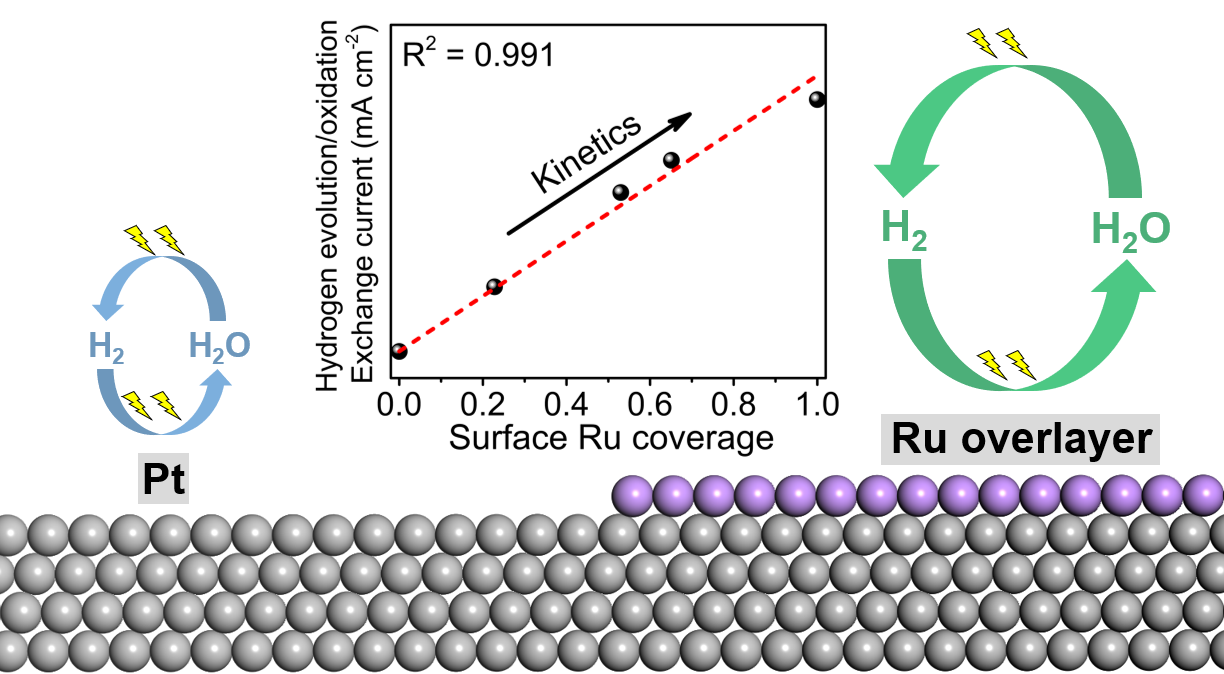 Ruthenium atoms supported on platinum are extremely active to produce hydrogen