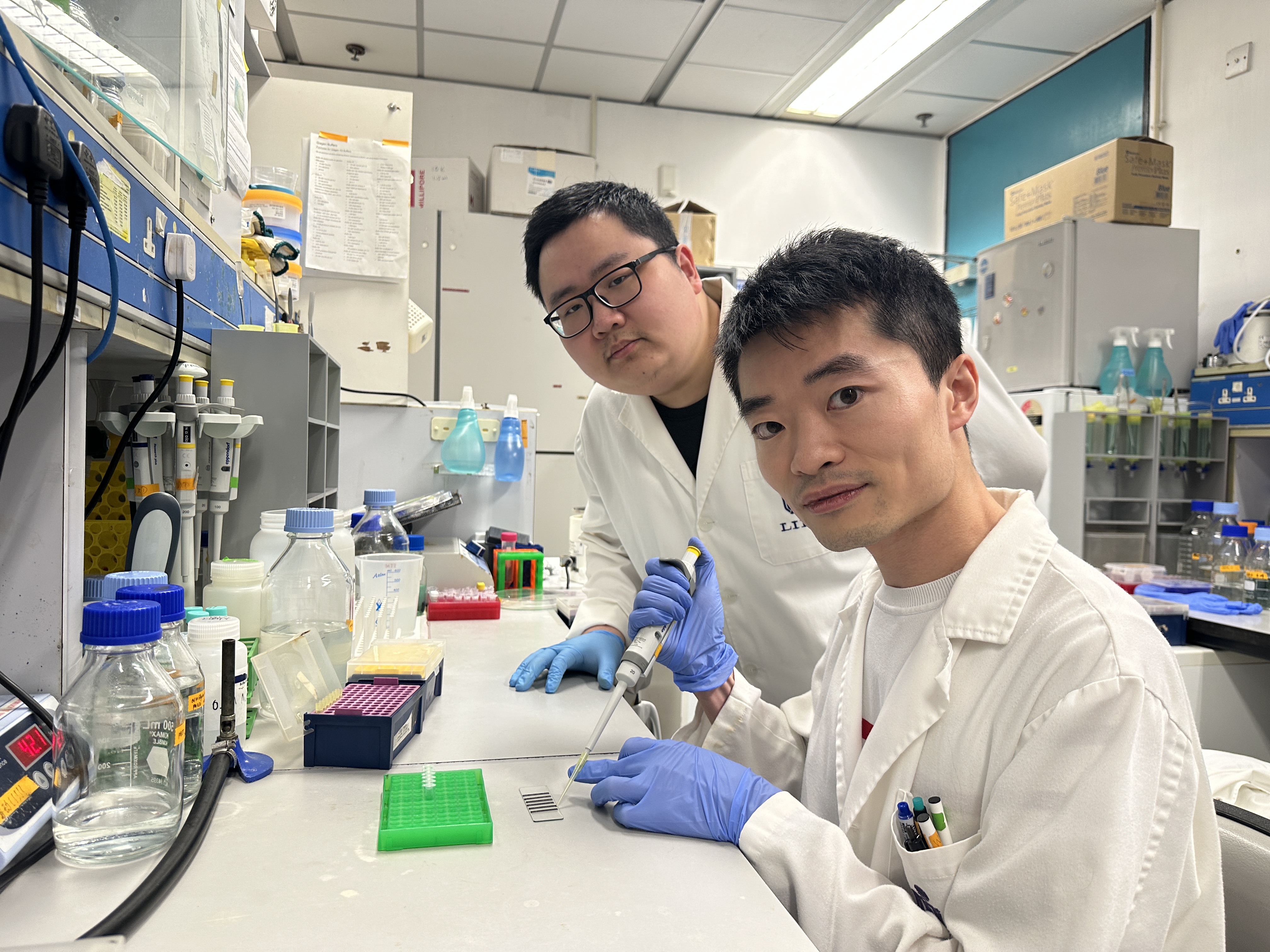 The research is conducted by a team from the Division of Life Science at HKUST, led by doctoral student Mr. QIU Hua (left) and RGC Postdoctoral Fellow Dr. WU Xiandeng (right)
