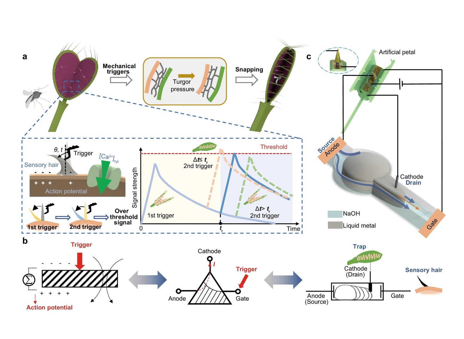 Venus flytrap-inspired liquid metal-based logic module