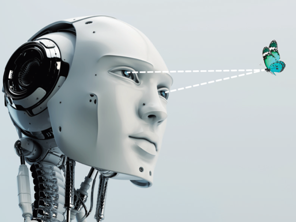 Robot looking at a butterfly