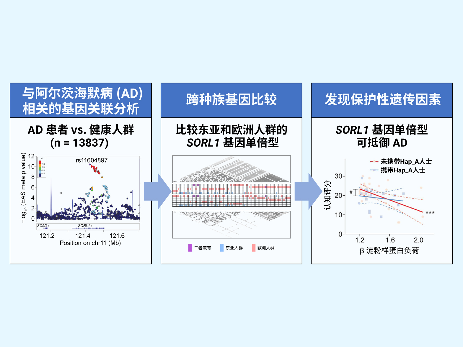 SORL1 Research Findings_HKUST_EN