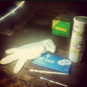 One of my tasks is to analyze orangutan urine and fecal samples – it’s not a glamorous job, but is a must-learn task for any budding primatologist!