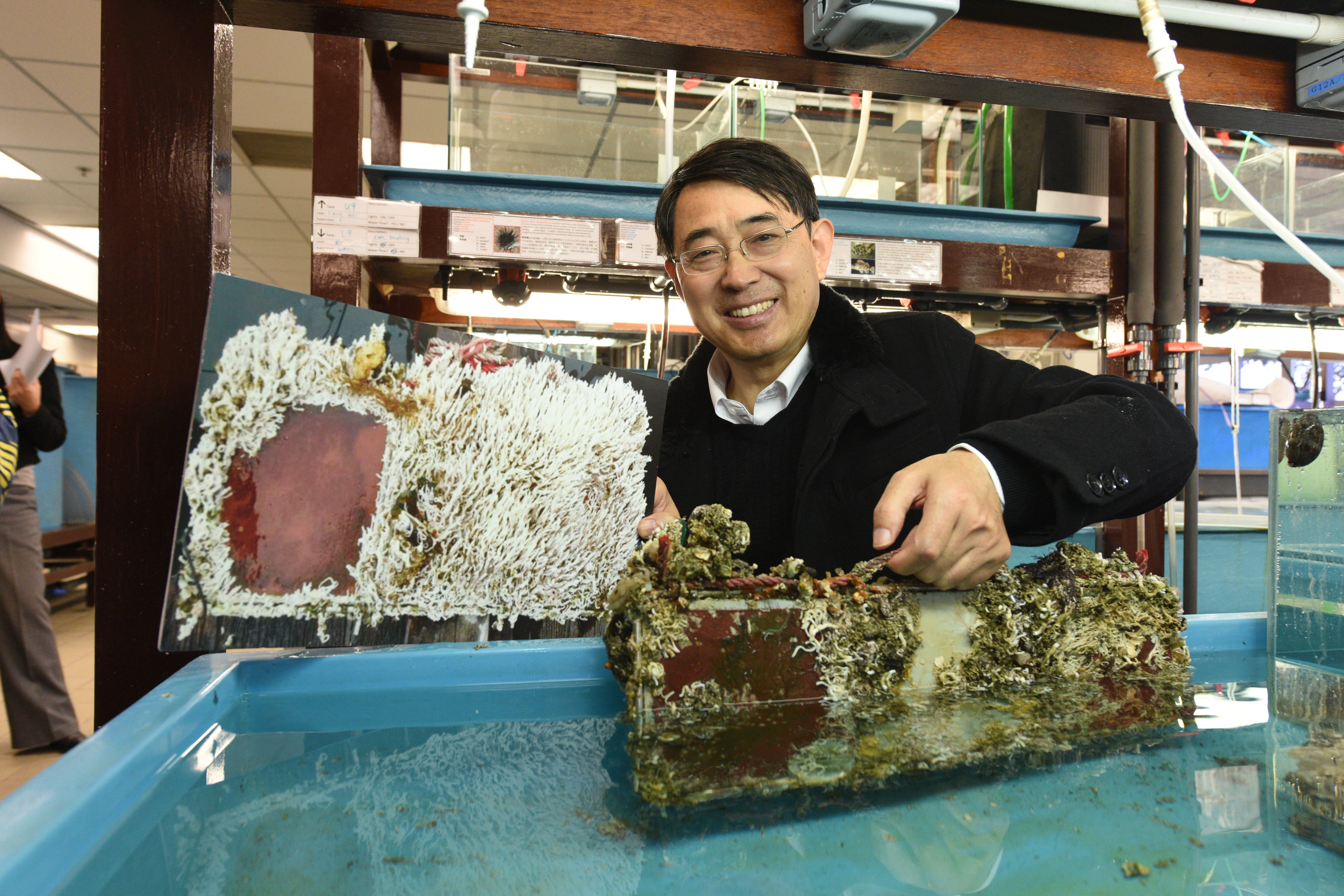  Prof Qian demonstrates the effect of his antifouling coating. The smooth surface on the left is a result after applying the coating for 18 months, while the one on the right shows what happened after more than two years.