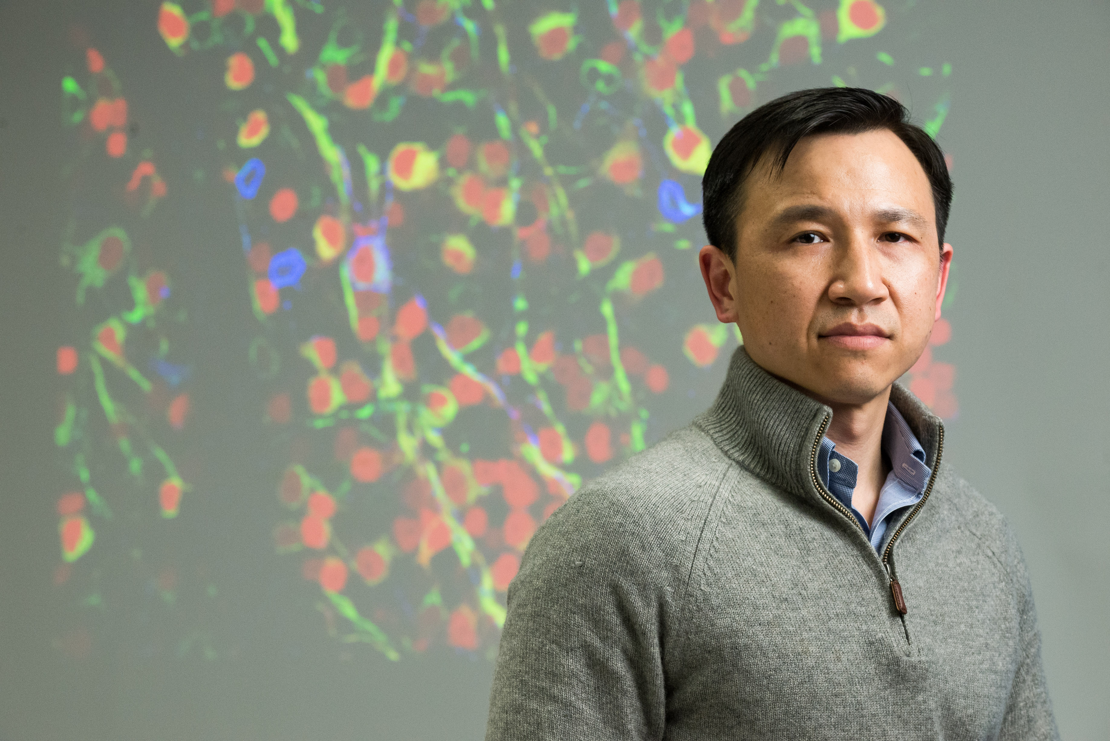  生命科學部助理教授劉凱。