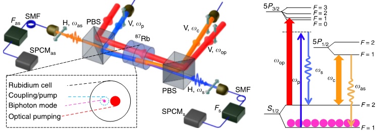  Prof Du's team was able to produce subnatural-linewidth biphotons (2MHz) from a Doppler-broadened (530 MHz) hot atomic vapor cell