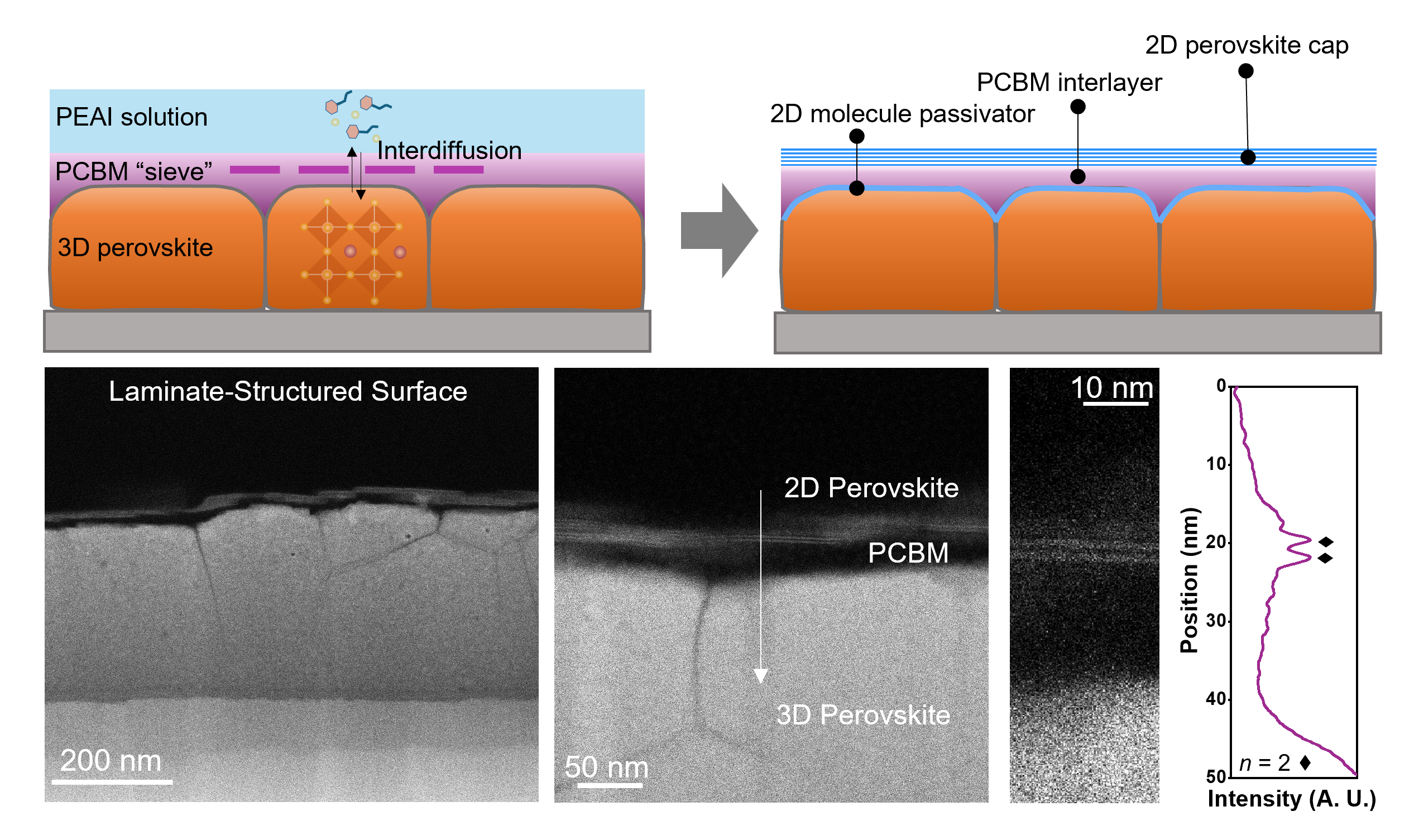 Schematic diagram of the synthesis method of laminated-structured perovskite interface and its structure revealed by transmission electron microscopy.