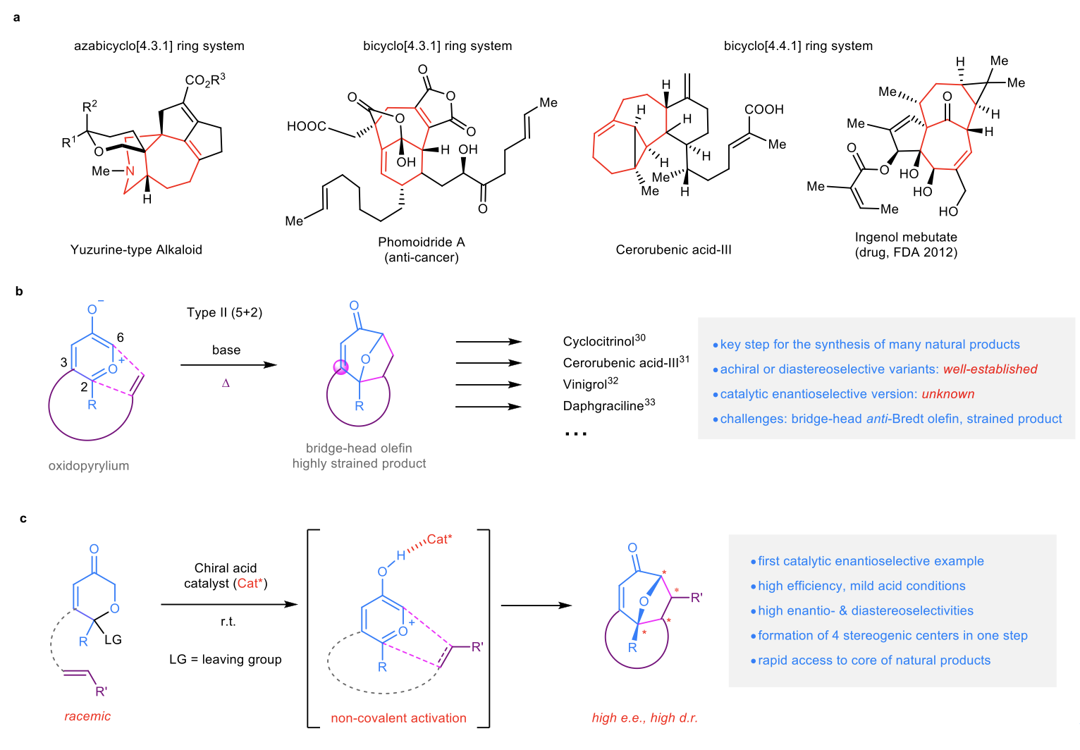 Caption: A schematic of the catalytic enantioselective type II [5 + 2] cycloaddition method. 