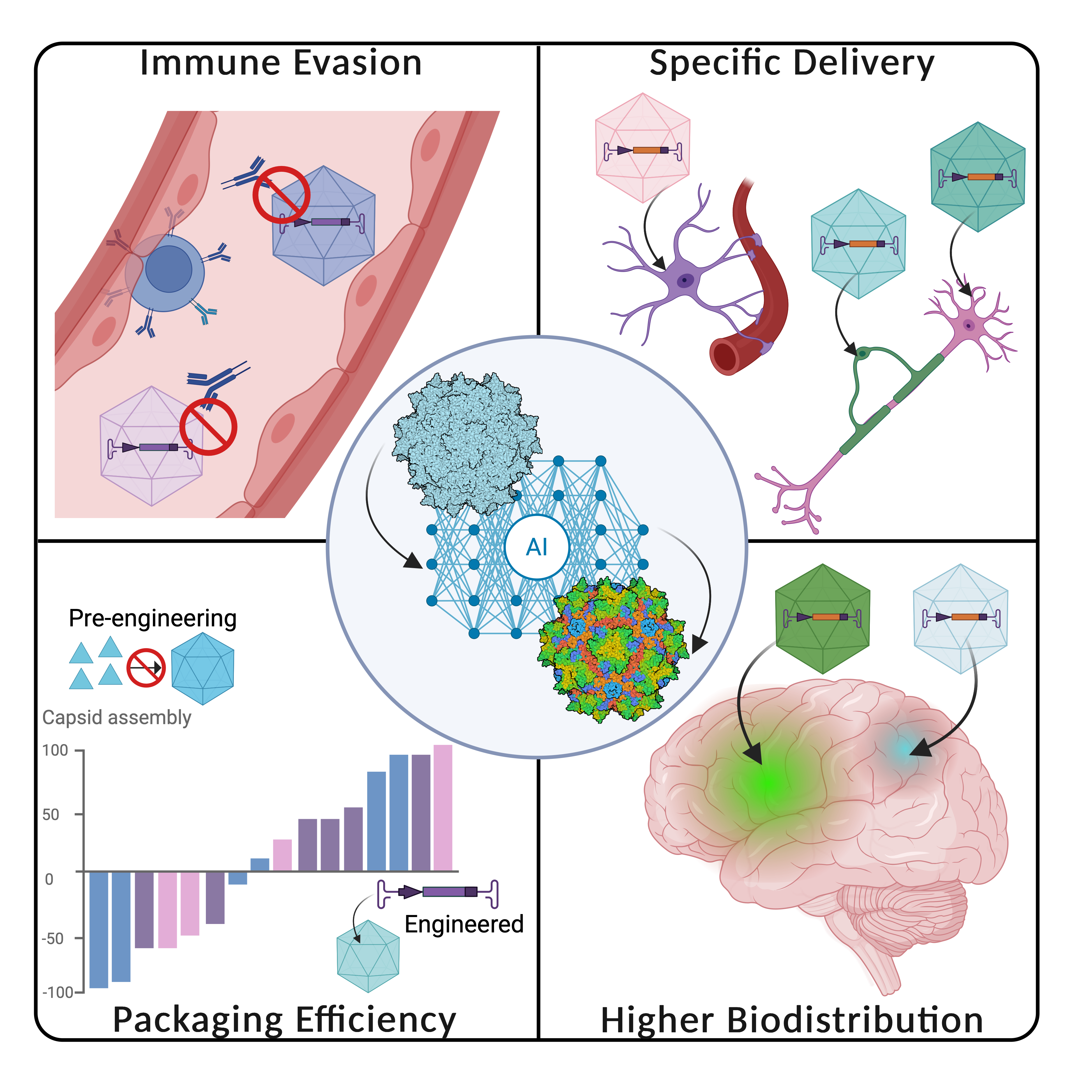 By analyzing multi-species viral protein sequences and training large AI foundation model, the team designs artificial AAV sequences that outperform natural variants. This innovation enhances specificity in targeting different cell types, reduces side effects, accelerates screening and validation iteration. 