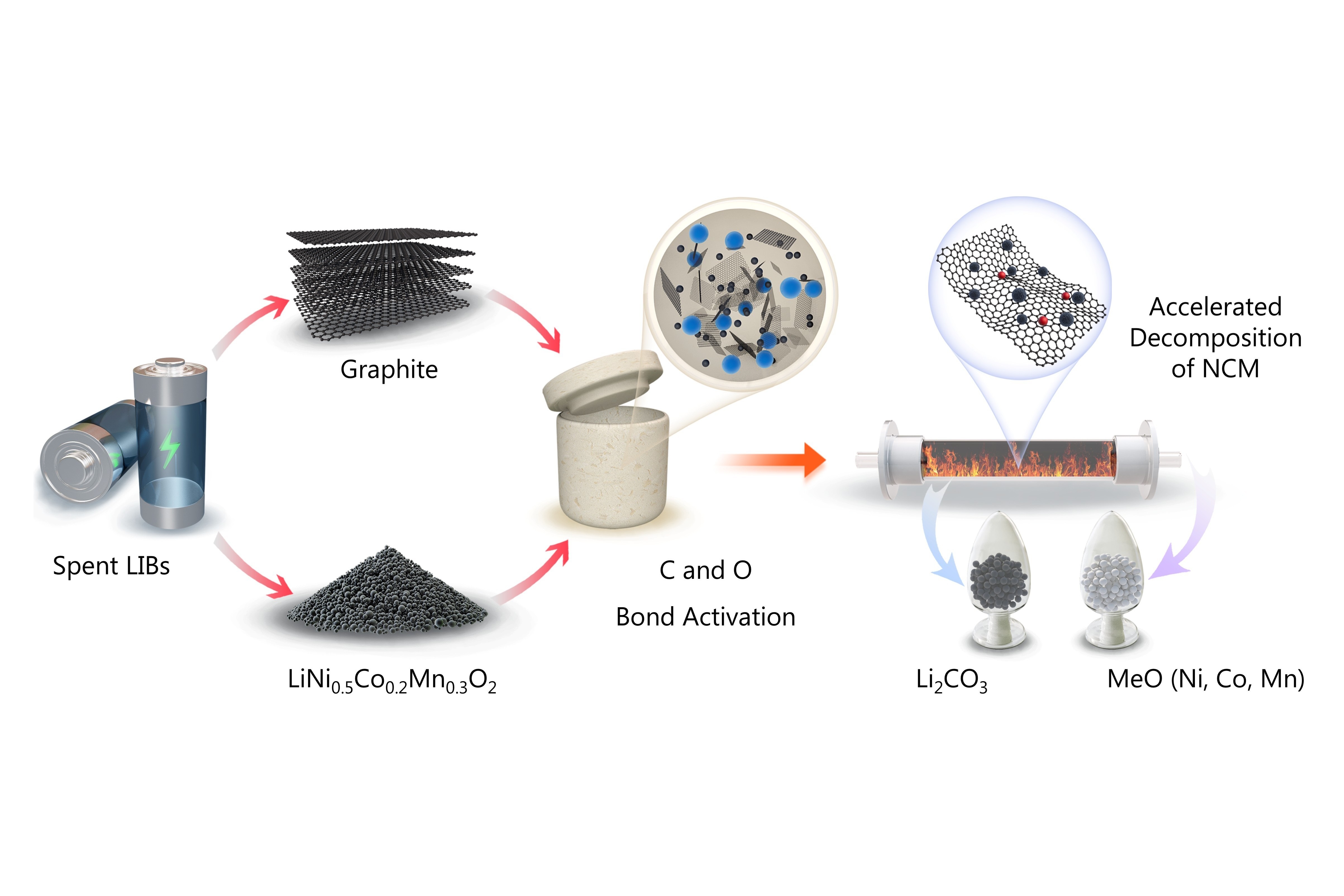 Schematic illustrating the synchronous activation of carbon and oxygen bonds in spent LIBs: By leveraging graphite from anode materials, the HKUST team promotes interfacial carbon–oxygen bond activation, which accelerates the thermal decomposition of nickel–cobalt–manganese (NCM) cathodes at significantly lower temperatures—enabling efficient recovery of lithium carbonate (Li₂CO₃) and transition metal oxides (Ni, Co, Mn) for closed-loop recycling.