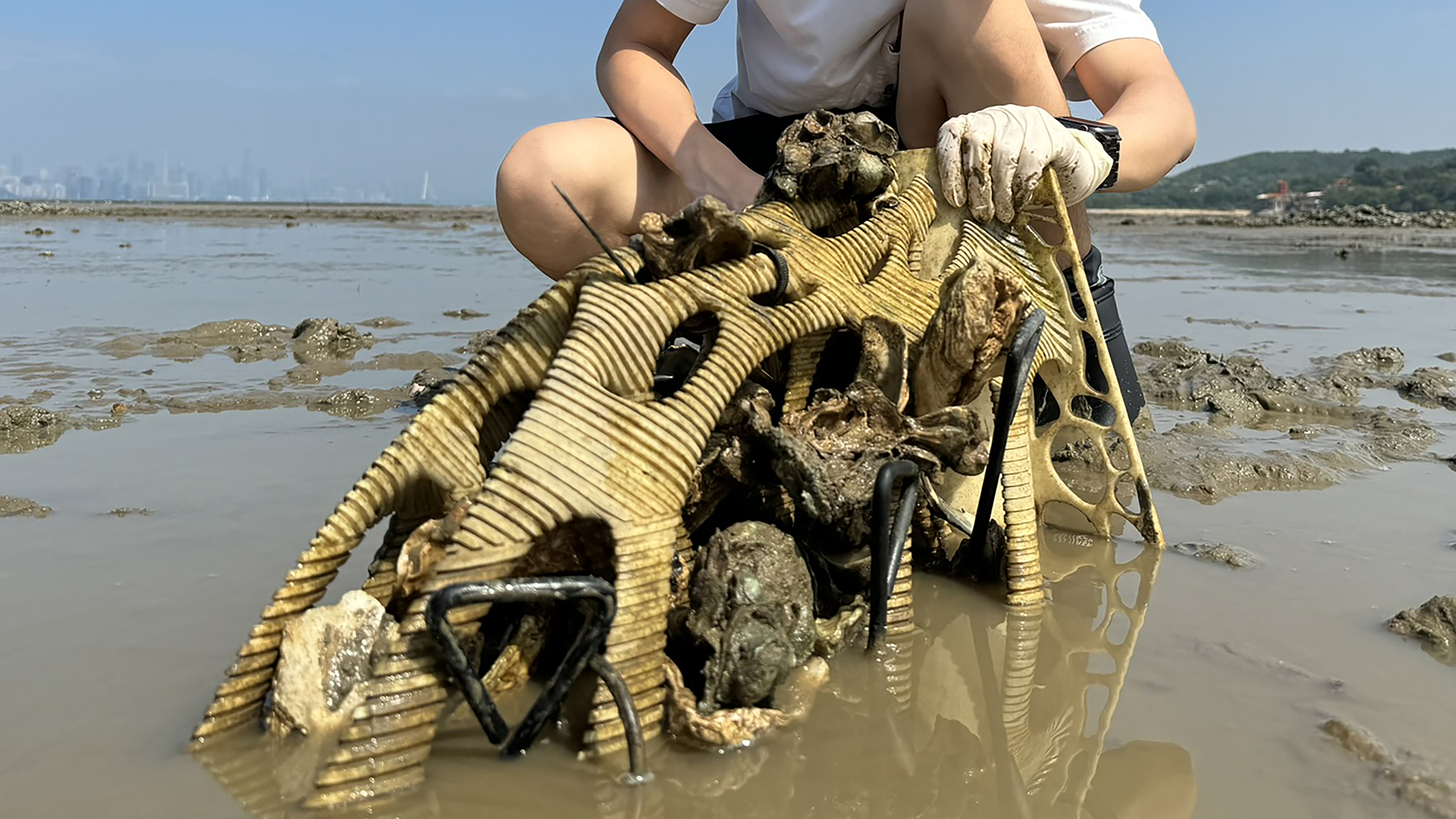 Oyster habitat for water quality and biodiversity - Mr. Dean CHAN & Prof. Larry LI. (Past Prototype)