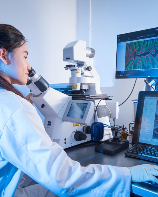 Media statement_placeholder (3)