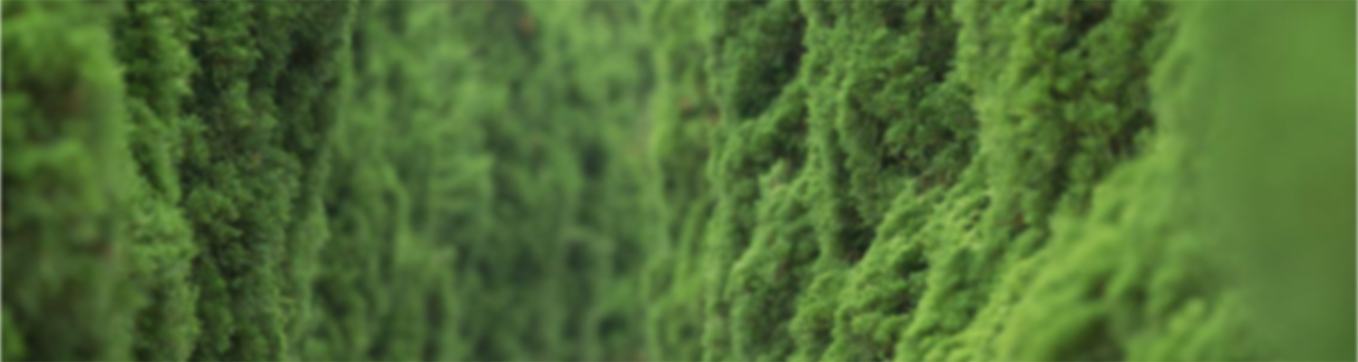 HKUST 2028 Sustainability Challenge