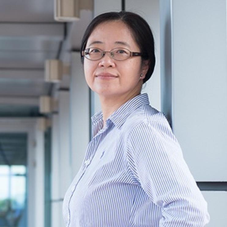 Professor Mingyi HUNG