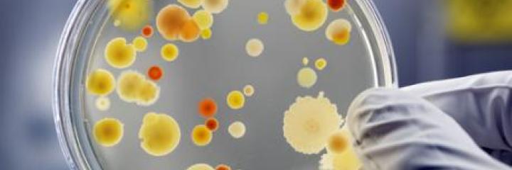 Air Purification Technology