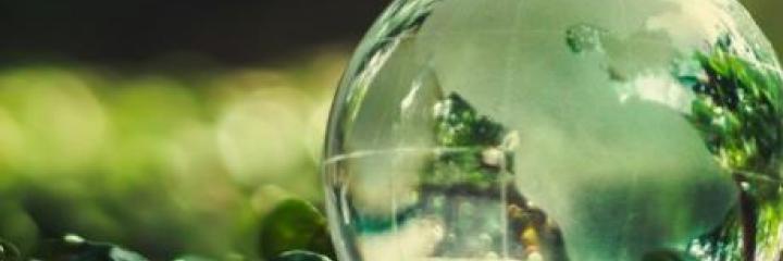 Promoting Carbon Neutrality