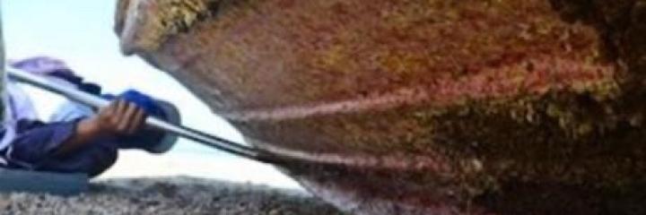 Antibiotics-against-Superbugs