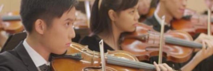 Violinists playing the violin