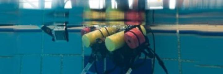 A diver placing a robot underwater