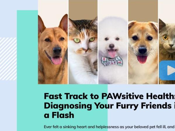 Fast track to PAWsitive health: diagnosing your furry friends in a flash