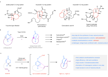 Caption: A schematic of the catalytic enantioselective type II [5 + 2] cycloaddition method. 