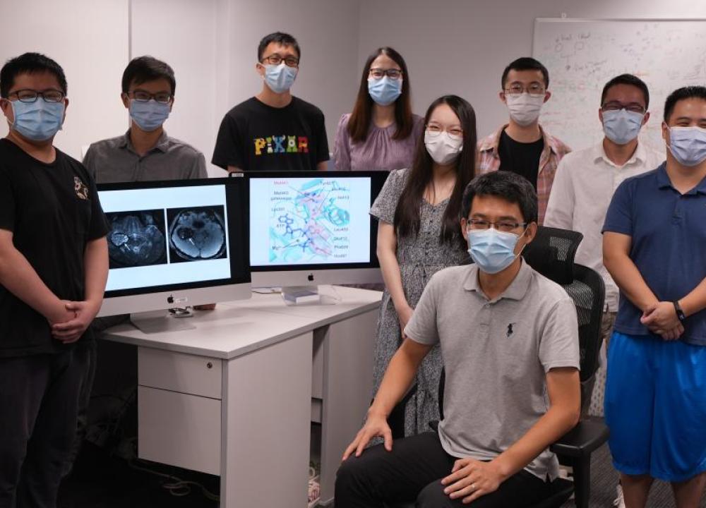 科大聯同北京天壇醫院研究人員發現引致腦海綿狀血管瘤的新元兇