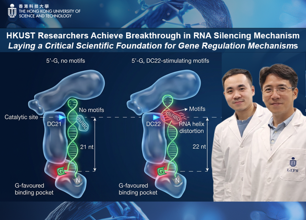 HKUST Researchers Achieve Breakthrough in RNA Silencing Mechanism 
