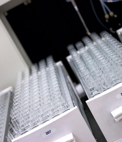 organized test tubes