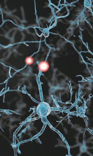 impact case brain thumbnail