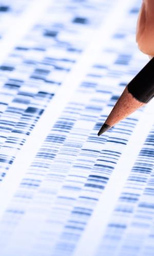 Pencil on paper image