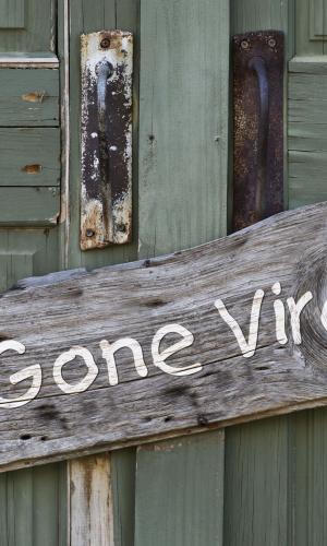 Novel Quantitative Tools to Manage Viral Marketing Campaigns