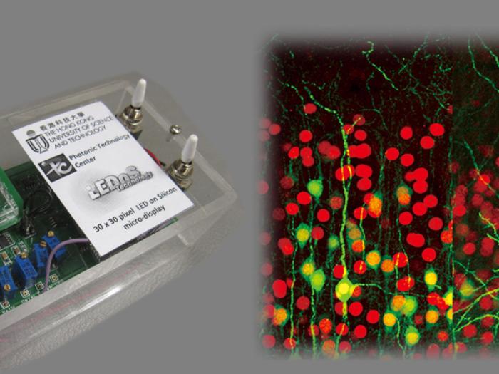 “Stem Cell Strategy for Nervous System Disorders” and “Cost-effective and eco-friendly LED system-on-a-chip” were funded by the Theme-based Research Scheme under the Research Grants Council.