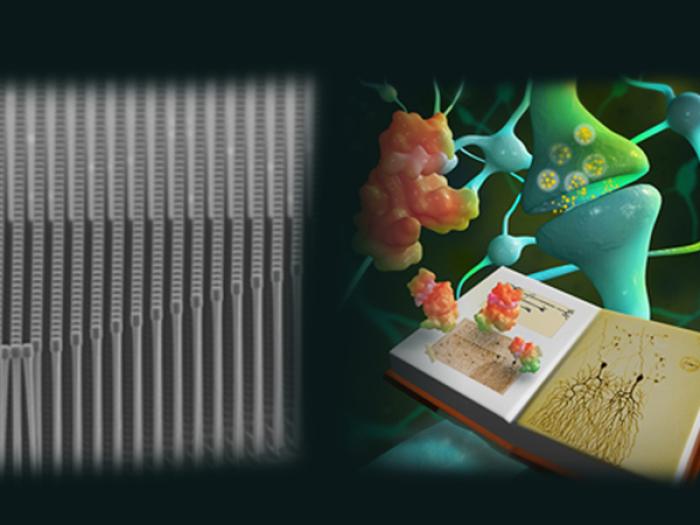 “Photonic and Phononic Advanced Materials Research” and “Signaling Mechanisms Research in Neuro-disorders” were awarded as HKUST’s Area of Excellence by the University Grants Committee.