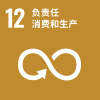 SDG12_负责任消费和生产